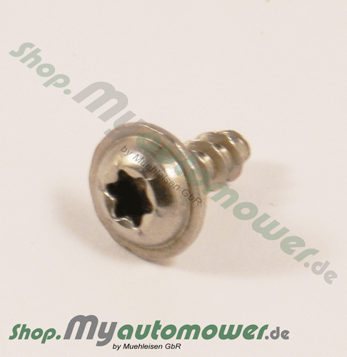 Screw 10mm Silber G2 G3