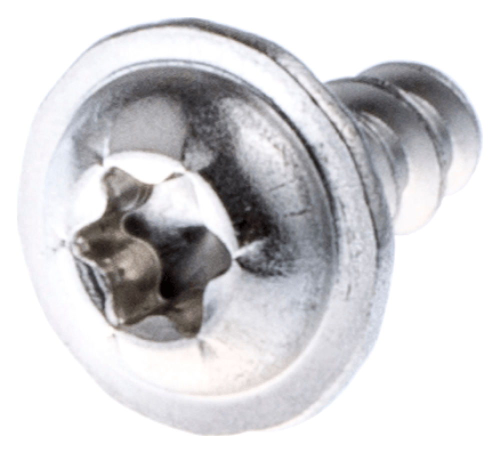 Screw 10mm Silber G2 G3