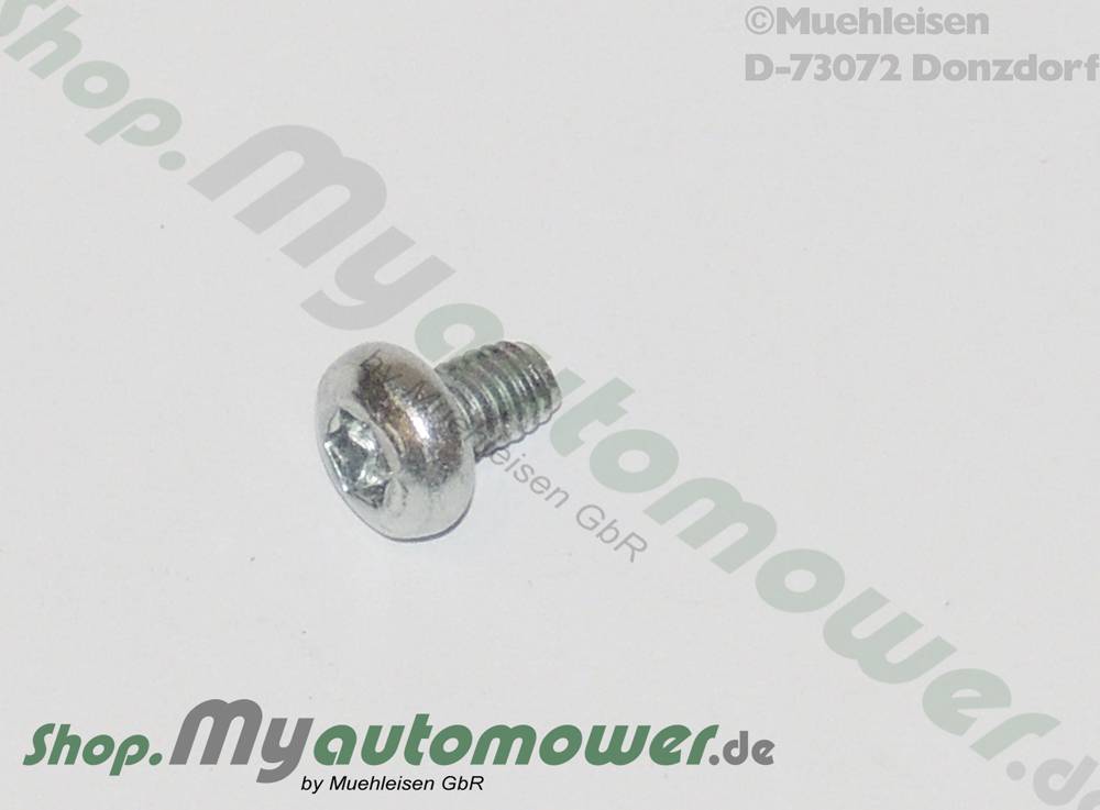 Screw Torx kurz G3