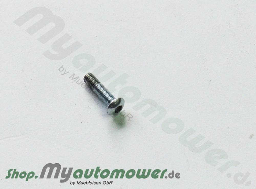 Spz. Schraube G3, M 3 X 10 8.8 ZPB, Internal Torx Pan Head