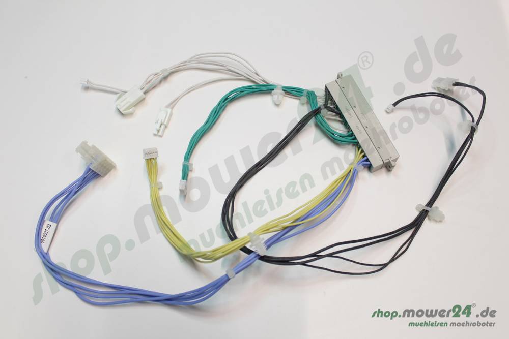 Wiring Assy Loom AM G2220AC (Dunker G2 220AC)